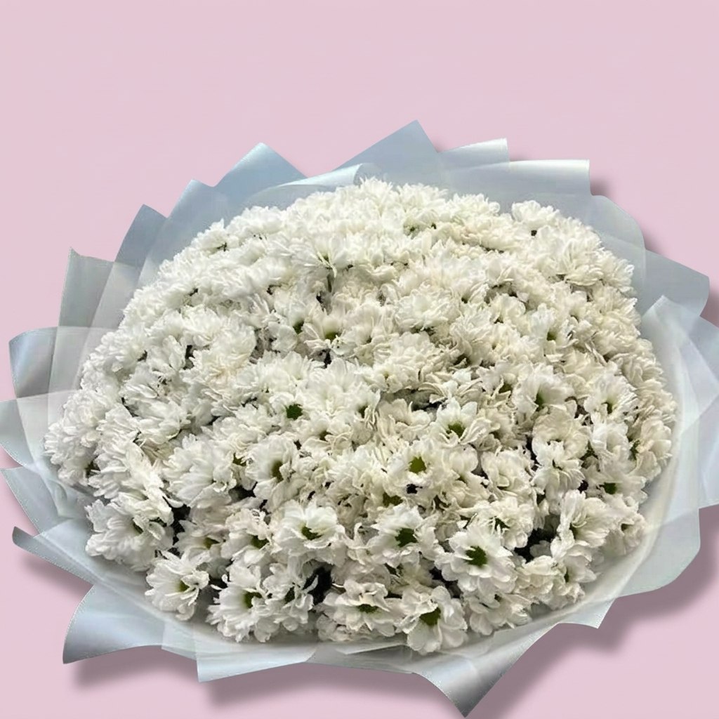 Белые кустовые хризантемы (большой)